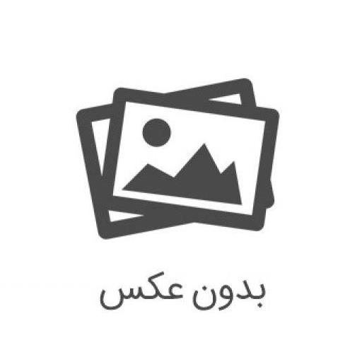آیریک رباتیک صدرا